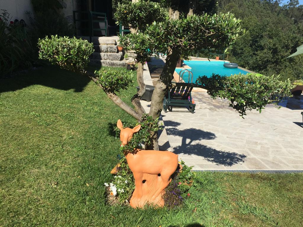 Quinta Paraiso Do Ermal Виейра до Миньо Екстериор снимка