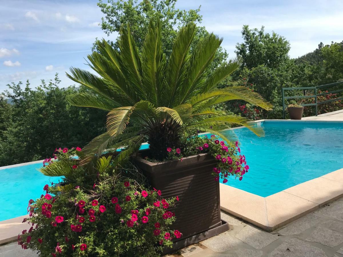 Quinta Paraiso Do Ermal Виейра до Миньо Екстериор снимка